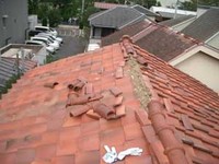 隣のご主人がオーナー様に屋根の状況を連絡されました。